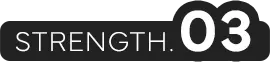 strength03