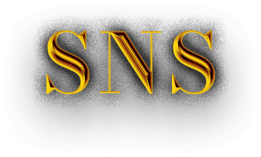 sns | 動画実績