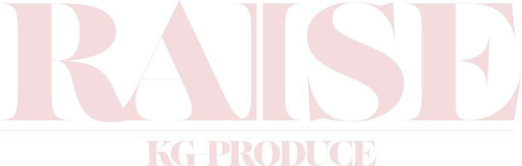 RAISEのロゴ画像